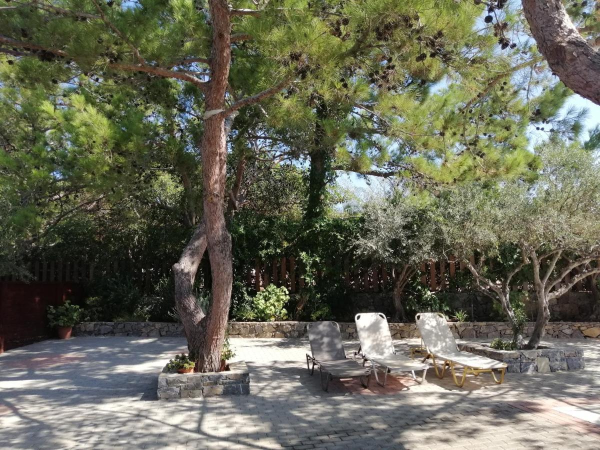Ferma Solaris Apartments Agia Fotia  Exteriör bild